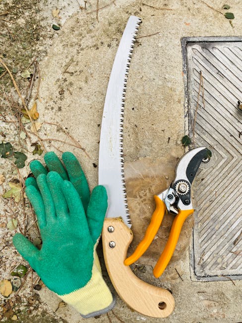 A pair of green gardening gloves resting on a concrete patio near a garden bed with small green leaves and dry soil. Visible are a long, curved pruning saw with a wooden handle and serrated blade, and