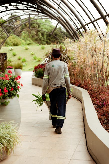 A gardener is walking along a curved pathway inside a glass greenhouse, carrying a small bunch of cut greenery in one hand and a gardening tool in the other. The gardener is dressed in a grey long-sle