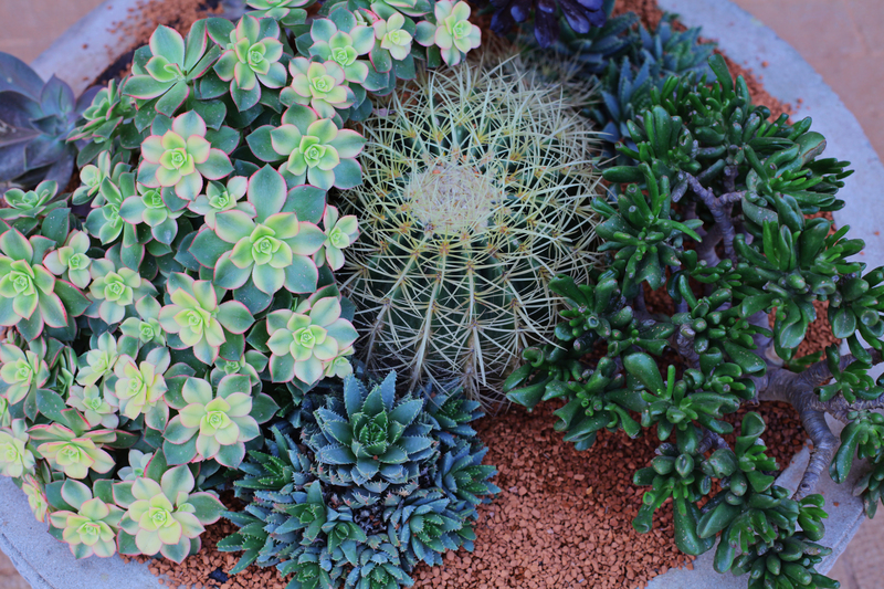 lawn care garden