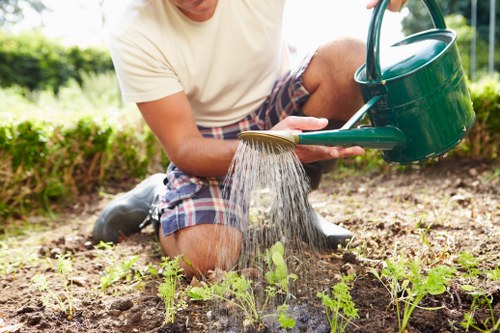 Professional garden maintenance by Harrys Gardeners